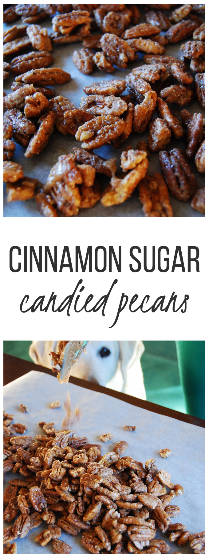 Cinnamon Sugar Candied Pecans!