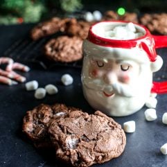 These Peppermint Hot Cocoa Cookies are incredibly tasty and make you feel like you are sipping on your favorite holiday drink!