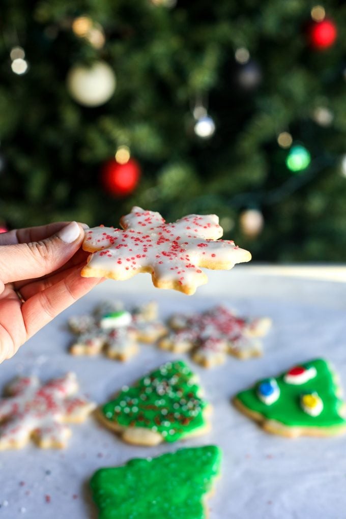 This Sugar Cookie recipe has been in my family for generations and comes out perfectly every time!