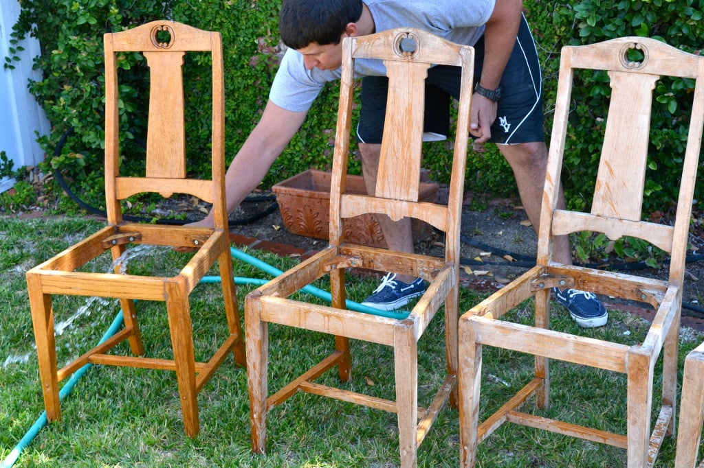 Reupholstered Dining Chairs