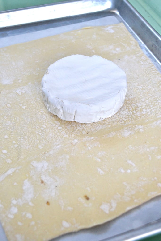 Pecan & Cranberry Pastry Wrapped Brie
