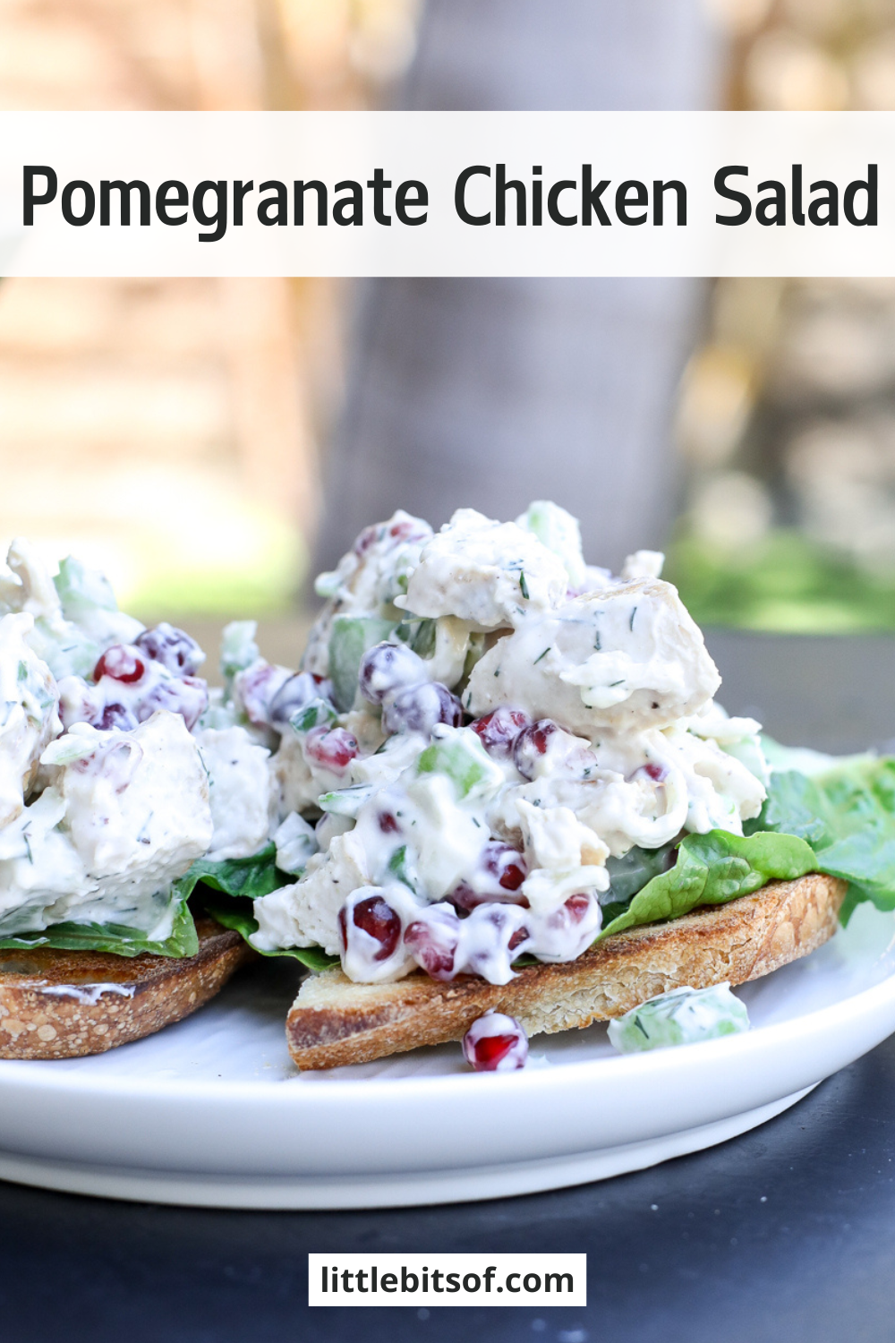 Fresh & flavorful Pomegranate Chicken Salad! Healthy, easy, and packed with juicy pomegranate seeds and a light yogurt dressing.