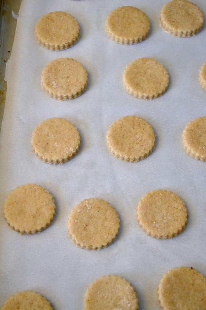 Mini Whole Wheat Almond & Vanilla Bean Scones