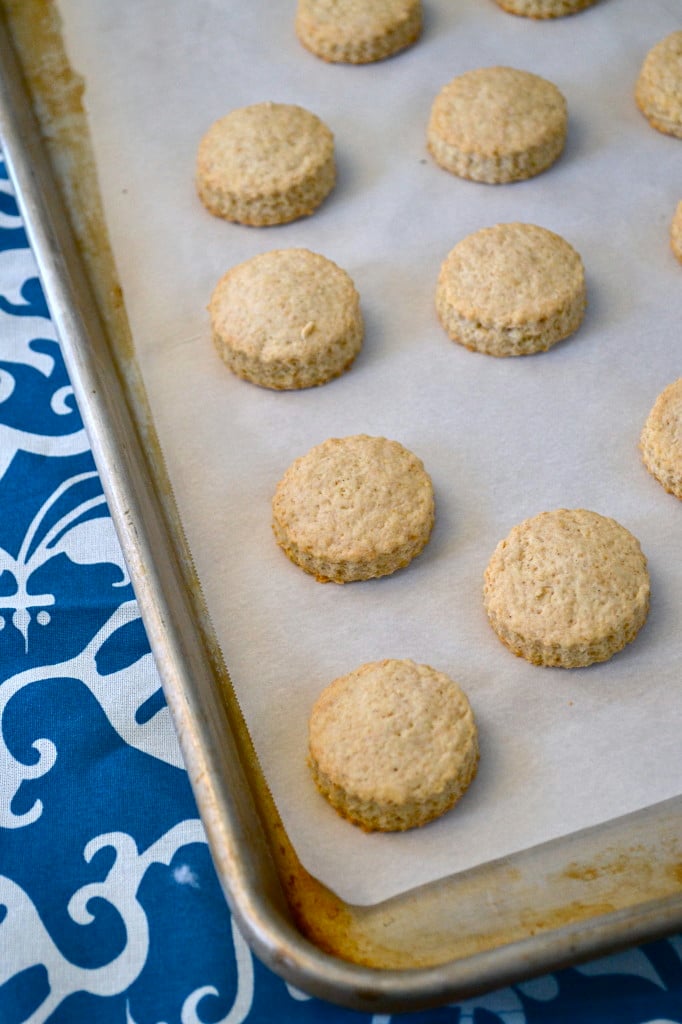 Mini Whole Wheat Almond & Vanilla Bean Scones