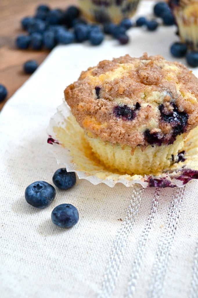 blueberry muffins with cinnamon streusel