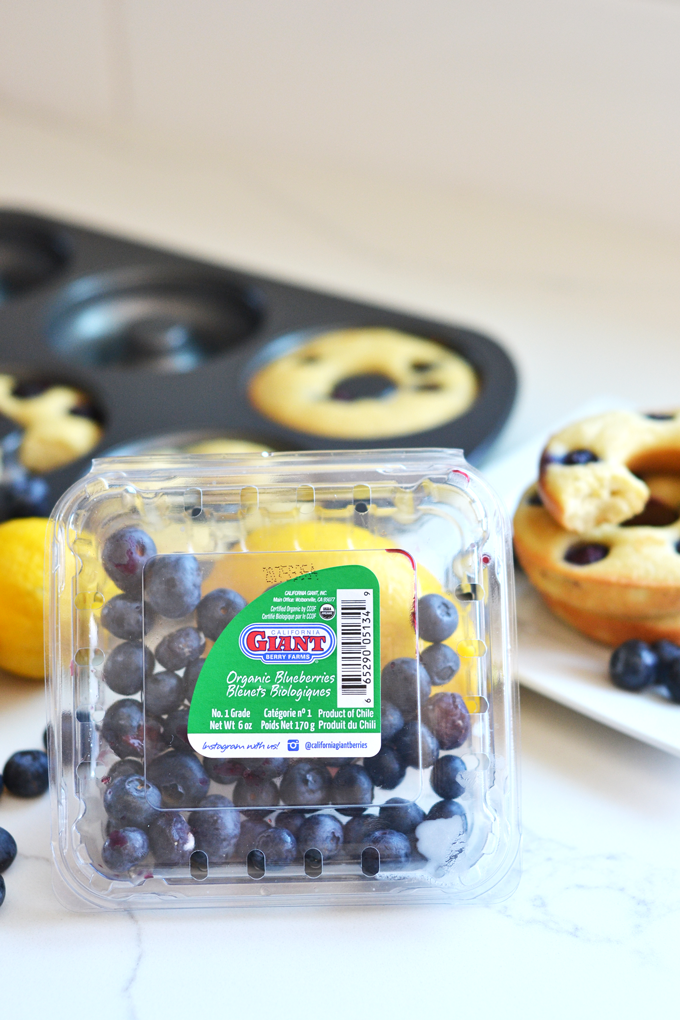 These Paleo Blueberry Lemon Donuts are the perfect grain free and refined sugar free way to enjoy your favorite treat!