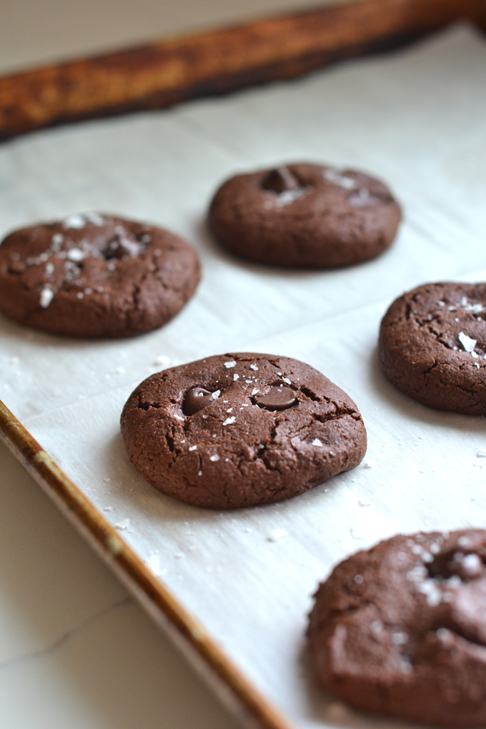 These Grain Free Double Chocolate Cookies are a healthy way to enjoy a decadent dessert! Packed with chocolate flavor and sweetened with coconut sugar!