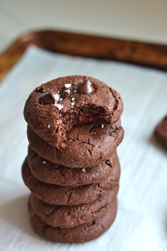 These Grain Free Double Chocolate Cookies are a healthy way to enjoy a decadent dessert! Packed with chocolate flavor and sweetened with coconut sugar!