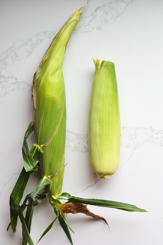 This Mexican Street Corn Dip is dairy free but and packed with yummy grilled sweet corn flavor! It is perfect for a summer party!