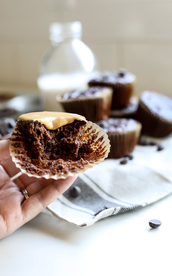 These Grain Free Chocolate Muffins are sweetened with just a little honey which makes them paleo but so tasty that anyone will love them!!