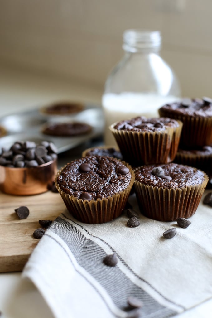 These Grain Free Chocolate Muffins are sweetened with just a little honey which makes them paleo but so tasty that anyone will love them!!