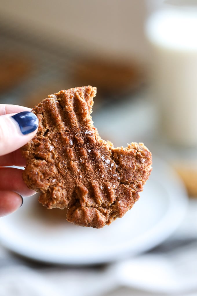 These Churro Peanut Butter Cookies are grain free and refined sugar free and super packed with flavor!