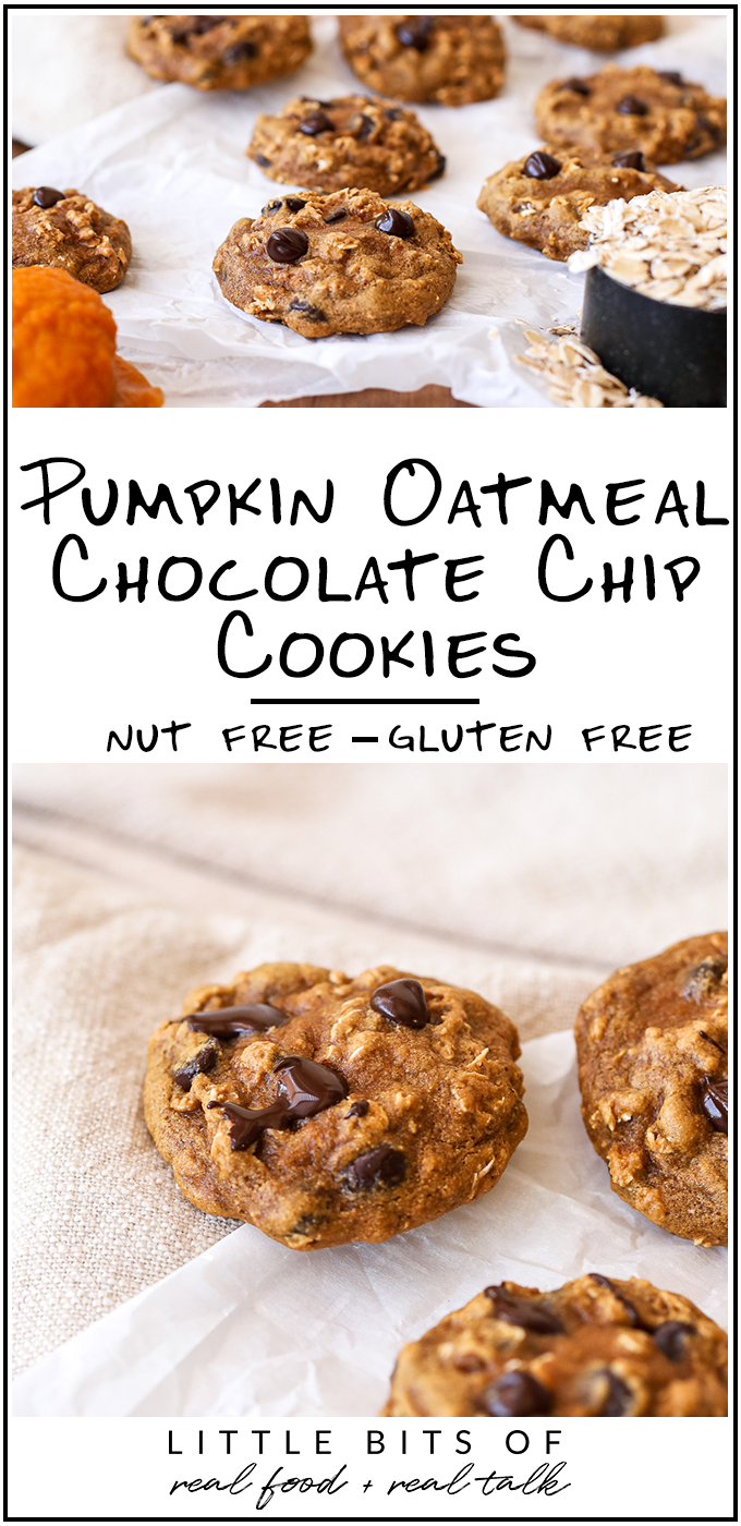 These Pumpkin Oatmeal Chocolate Chip Cookies are gluten free, dairy free and nut free - perfect for those with allergies!