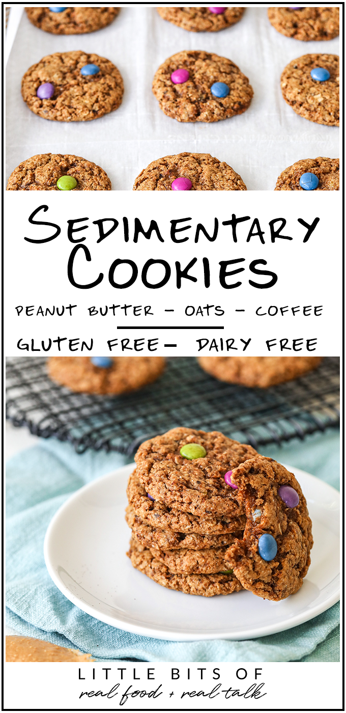 These sedimentary cookies are gluten-free, Dairy free, and packed with oats, almond flour, peanut butter and coffee!