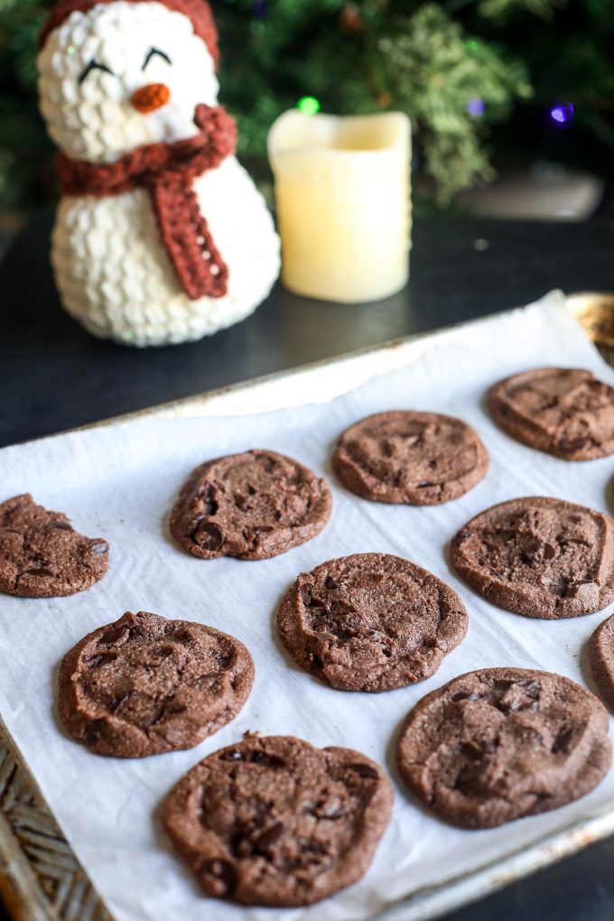 Gluten Free World Peace Cookies are such an easy slice and bake cookie and are perfect for Christmas cookie boxes!