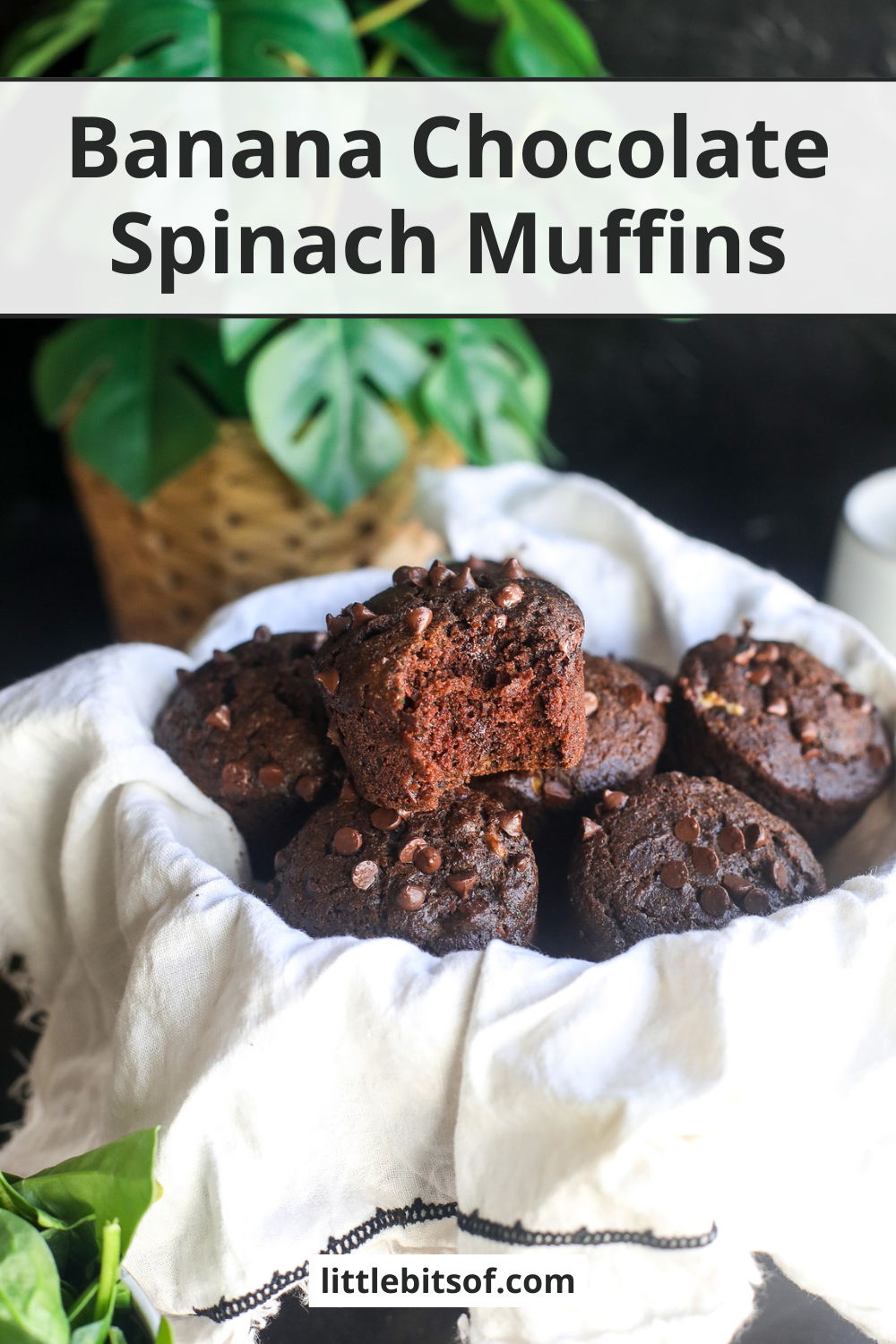 These Banana Chocolate Spinach Muffins are the perfect healthier muffin option that kids and adults both love!