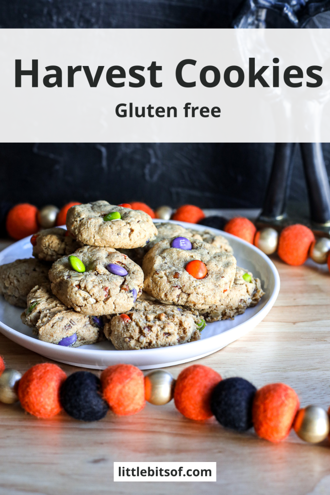 These Gluten Free Harvest Cookies are made from almond flour and oats and sweetened with coconut sugar!