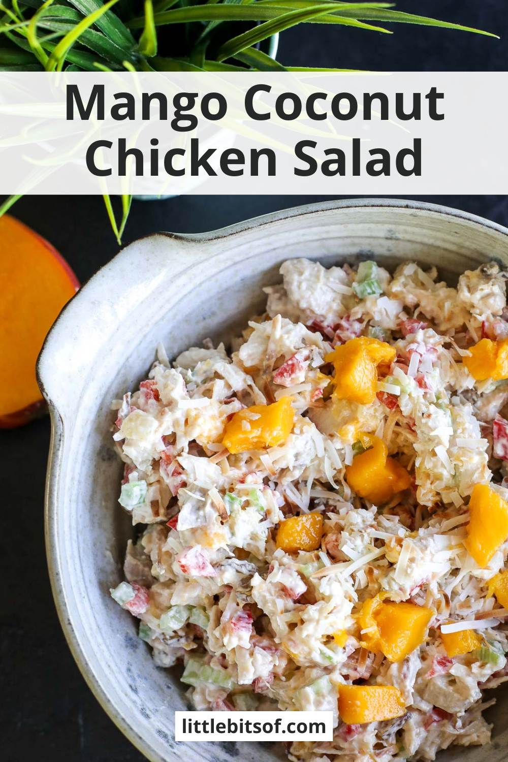Discover the ultimate Mango Coconut Chicken Salad recipe: fresh, tropical flavors perfect for a healthy and delicious meal!