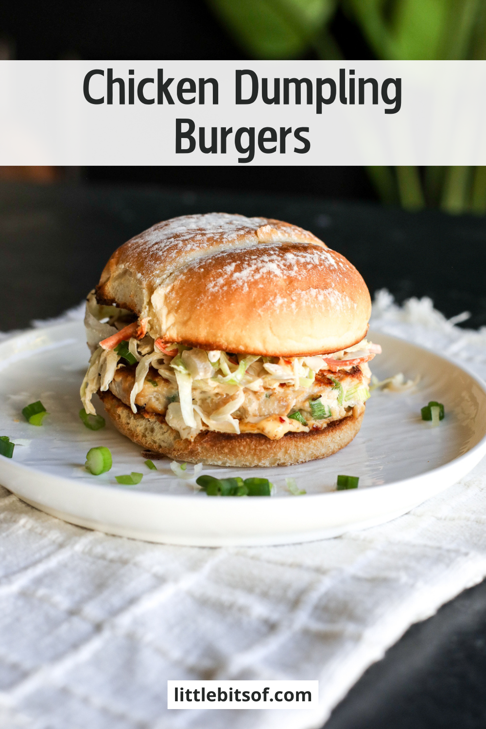 The ultimate fusion burger! Ginger-garlic chicken patties with a zesty Kewpie slaw and a kick of spicy chili crunch.