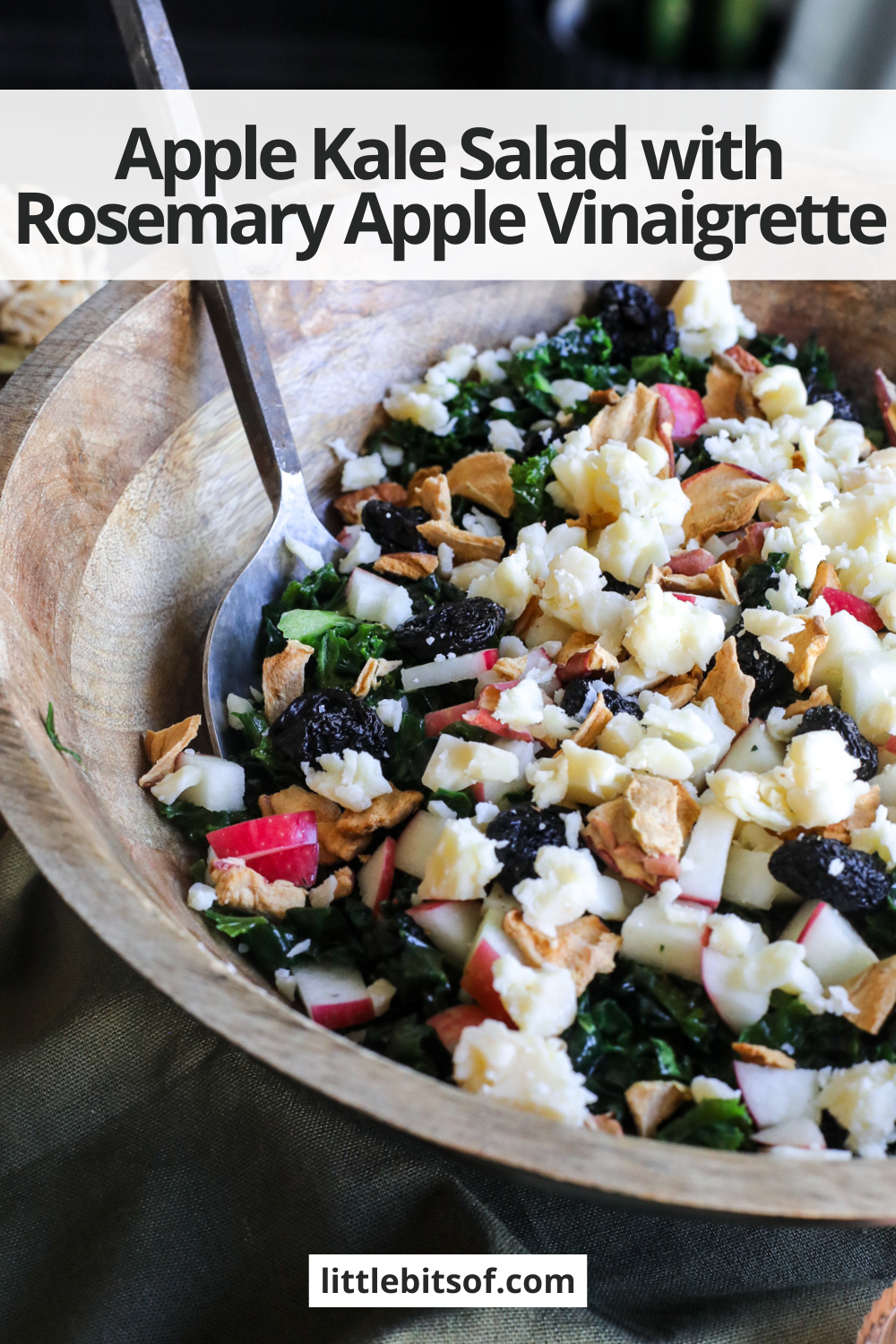 This Apple Kale Salad is loaded with crisp apples, sharp cheddar, pecans, dried cherries and apple chips, tossed in a homemade rosemary apple vinaigrette.
