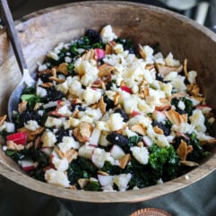 This Apple Kale Salad is loaded with crisp apples, sharp cheddar, pecans, dried cherries and apple chips, tossed in a homemade rosemary apple vinaigrette.